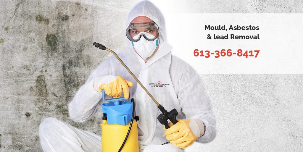 mold removal services, Ottawa